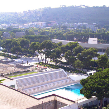 Modello di studio: progetto per il sistema di copertura della piscina (non realizzato)